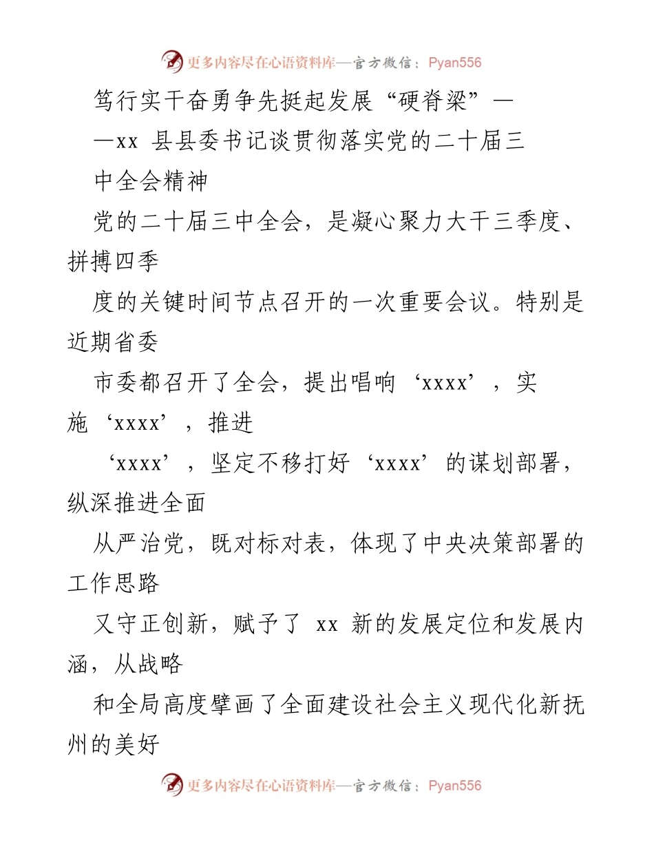 [发言] 会议 - 笃行实干，奋勇争先：xx县县委书记谈党的二十届三中全会精神贯彻落实.docx_第1页