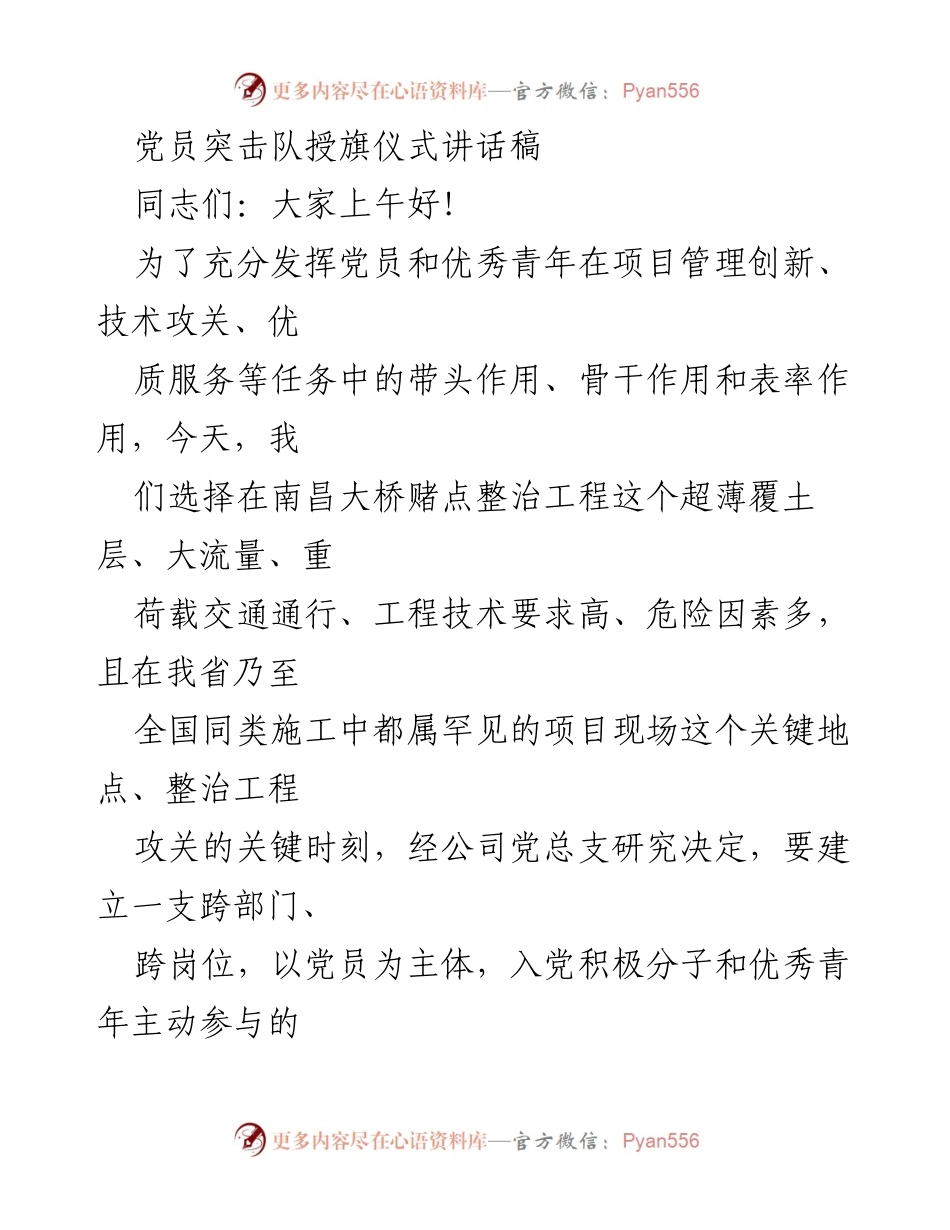 [发言] 党员突击队授旗仪式 - 党员突击队的使命与担当.docx_第1页