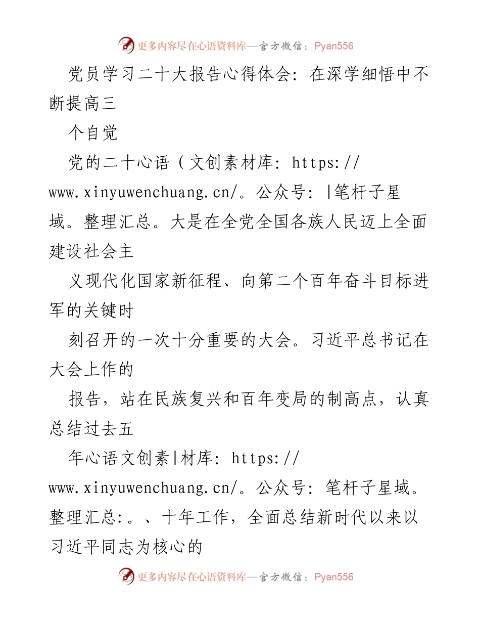 [发言] 党员学习会议 - 深学细悟党的二十大报告精神，提高政治自觉与服务意识.docx_第1页
