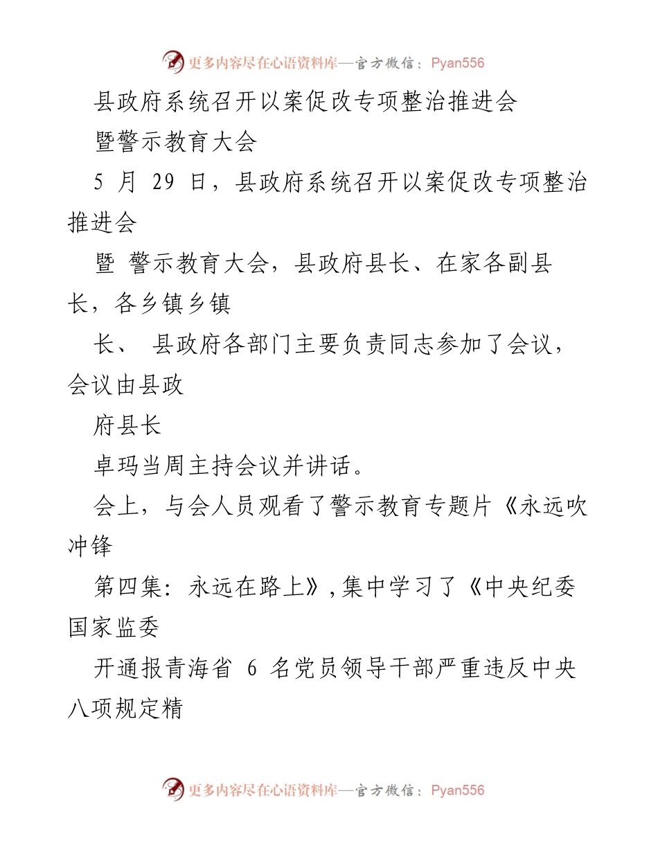 [发言] 会议 - 县政府系统以案促改专项整治推进会暨警示教育大会总结.docx_第1页