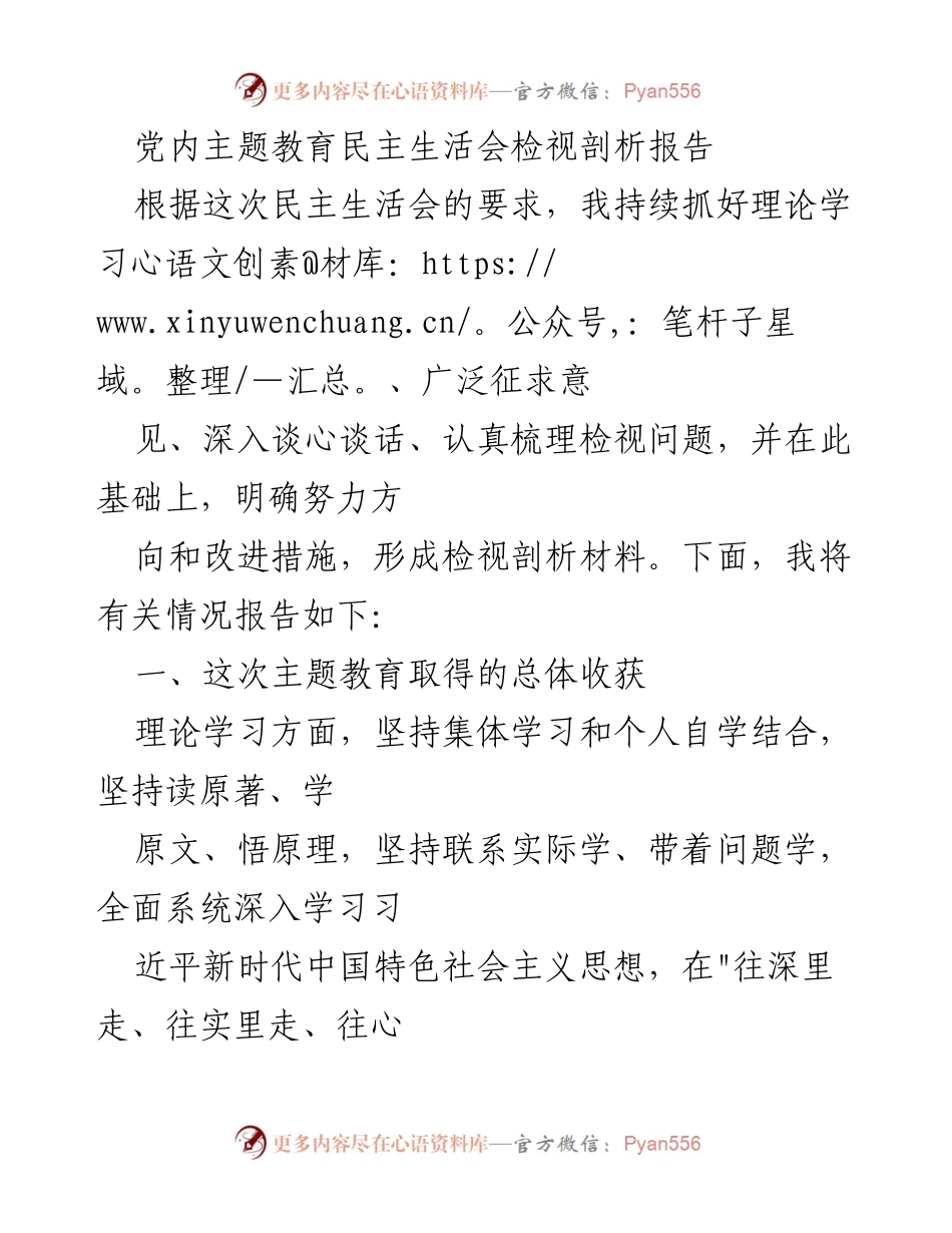 [发言] 党内主题教育民主生活会 - 主题教育民主生活会检视剖析报告.docx_第1页