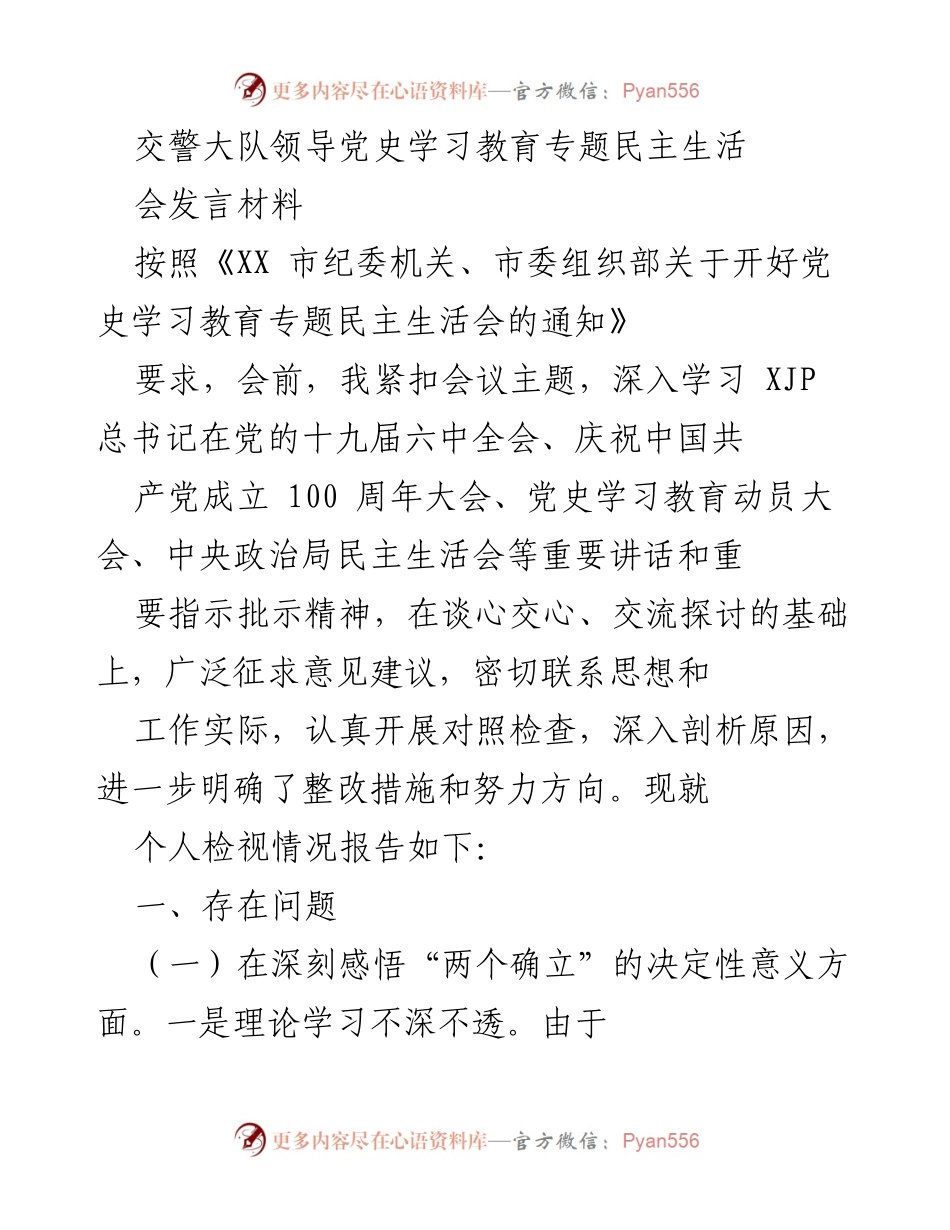 [发言] 党史学习教育专题民主生活会 - 深入检视交警队伍问题与整改措施的发言材料.docx_第1页