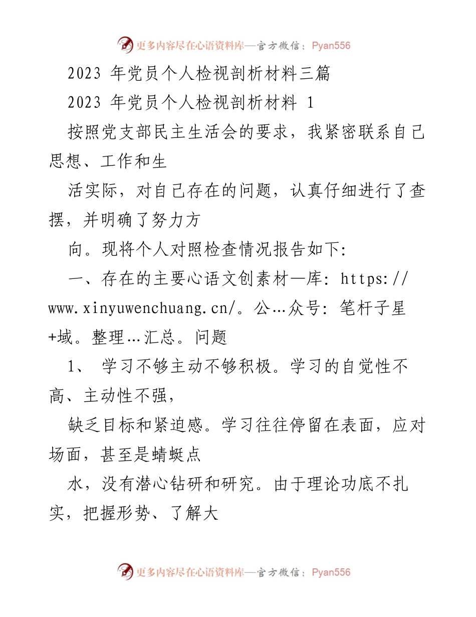 [发言] 党员民主生活会 - 2023年党员个人检视与剖析报告.docx_第1页