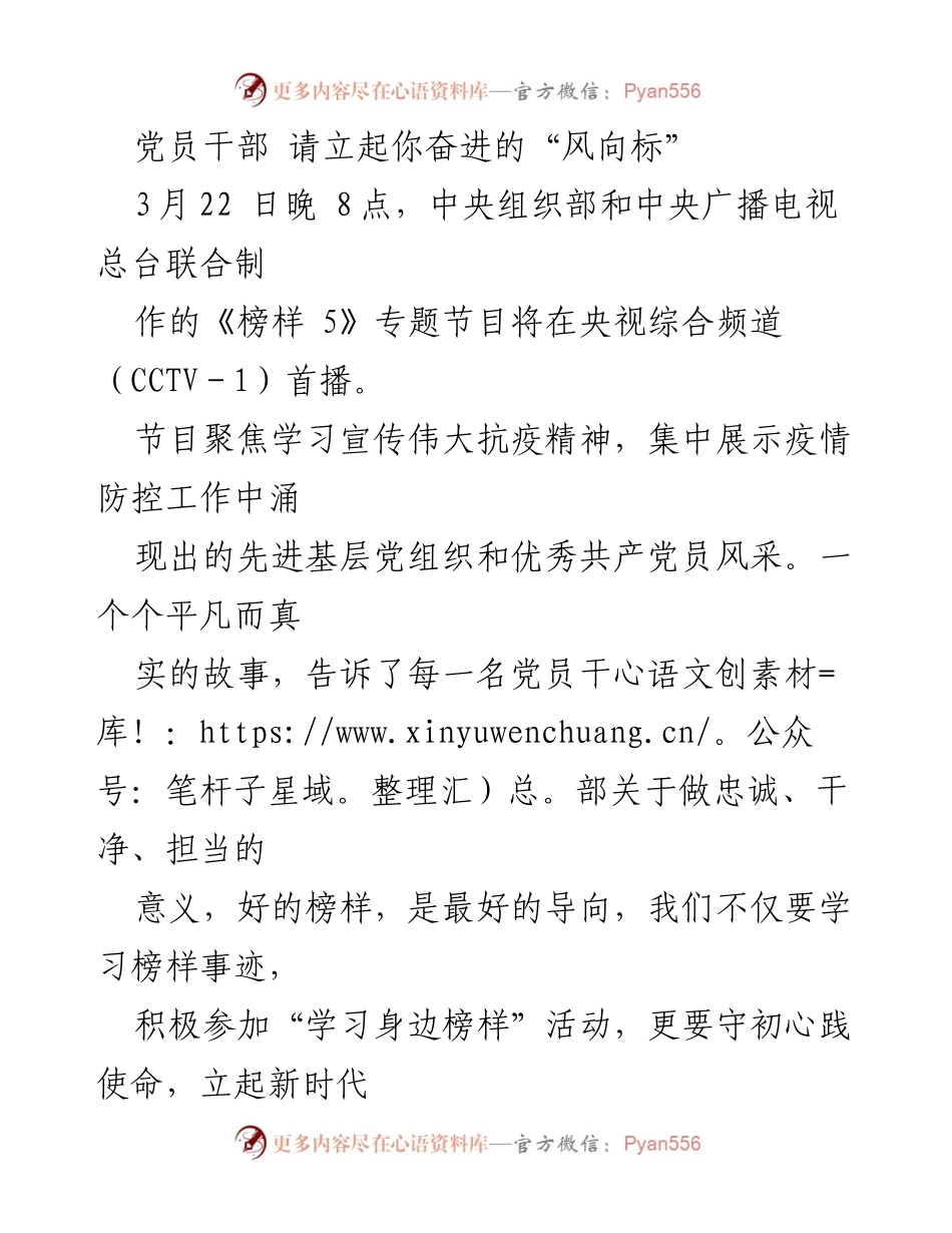 [发言] 党员干部大会 - 立起奋进的“风向标”：学习榜样，担当使命.docx_第1页