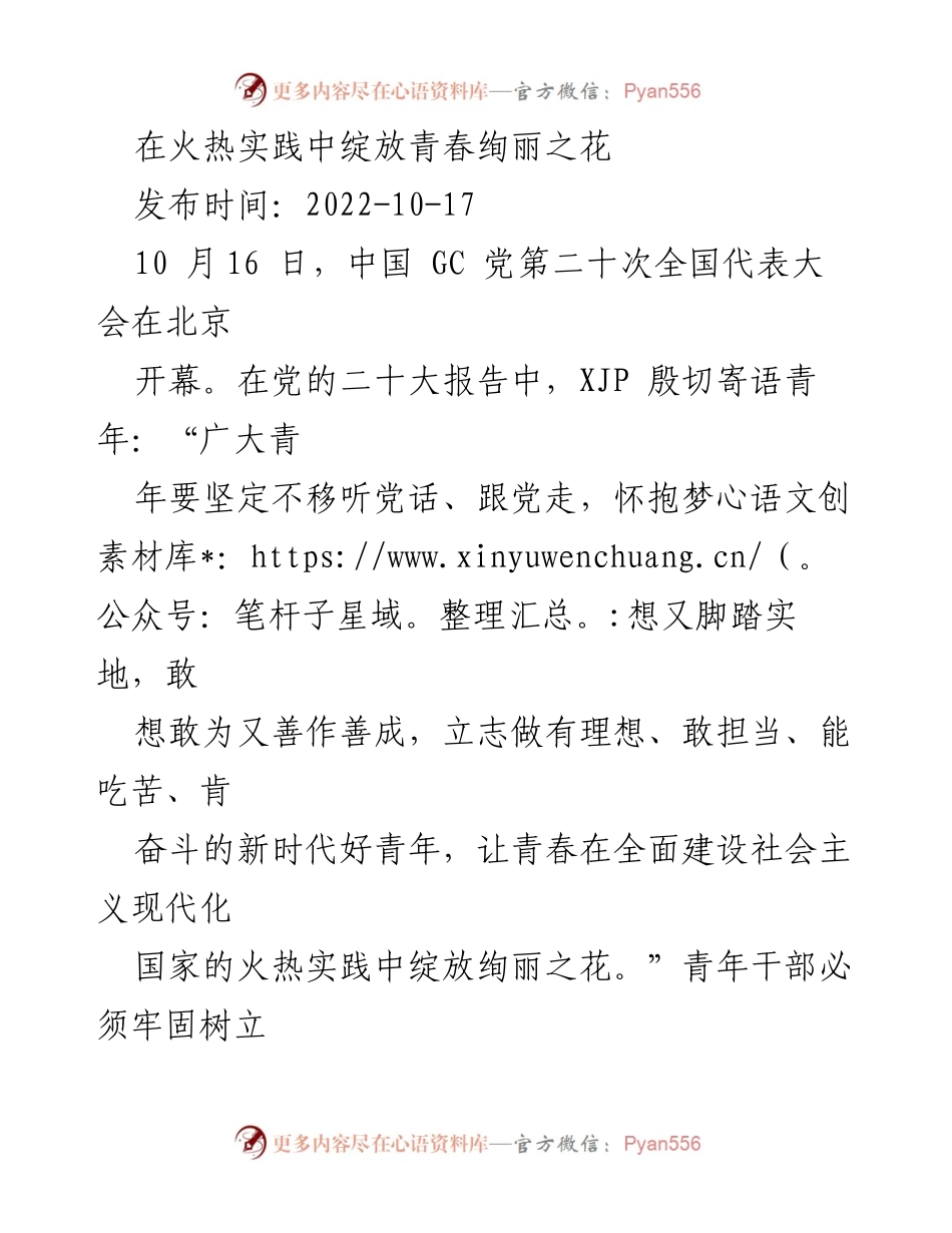 [发言] 党代会 - 青年干部在新时代的使命与担当.docx_第1页