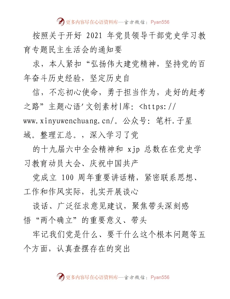 [发言] 党员领导干部党史学习教育专题民主生活会 - 深刻感悟“两个确立”，坚定历史自信，勇于担当作为.docx_第1页