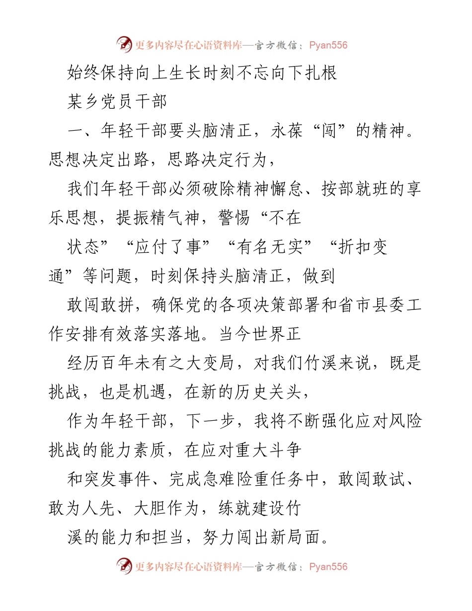 [发言] 党员干部会议 - 年轻干部的使命与担当：扎根基层，勇于创新.docx_第1页