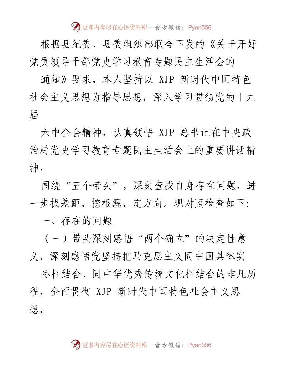 [发言] 党员领导干部党史学习教育专题民主生活会 - 深刻查找自身问题，提升政治敏锐性与责任担当.docx_第1页