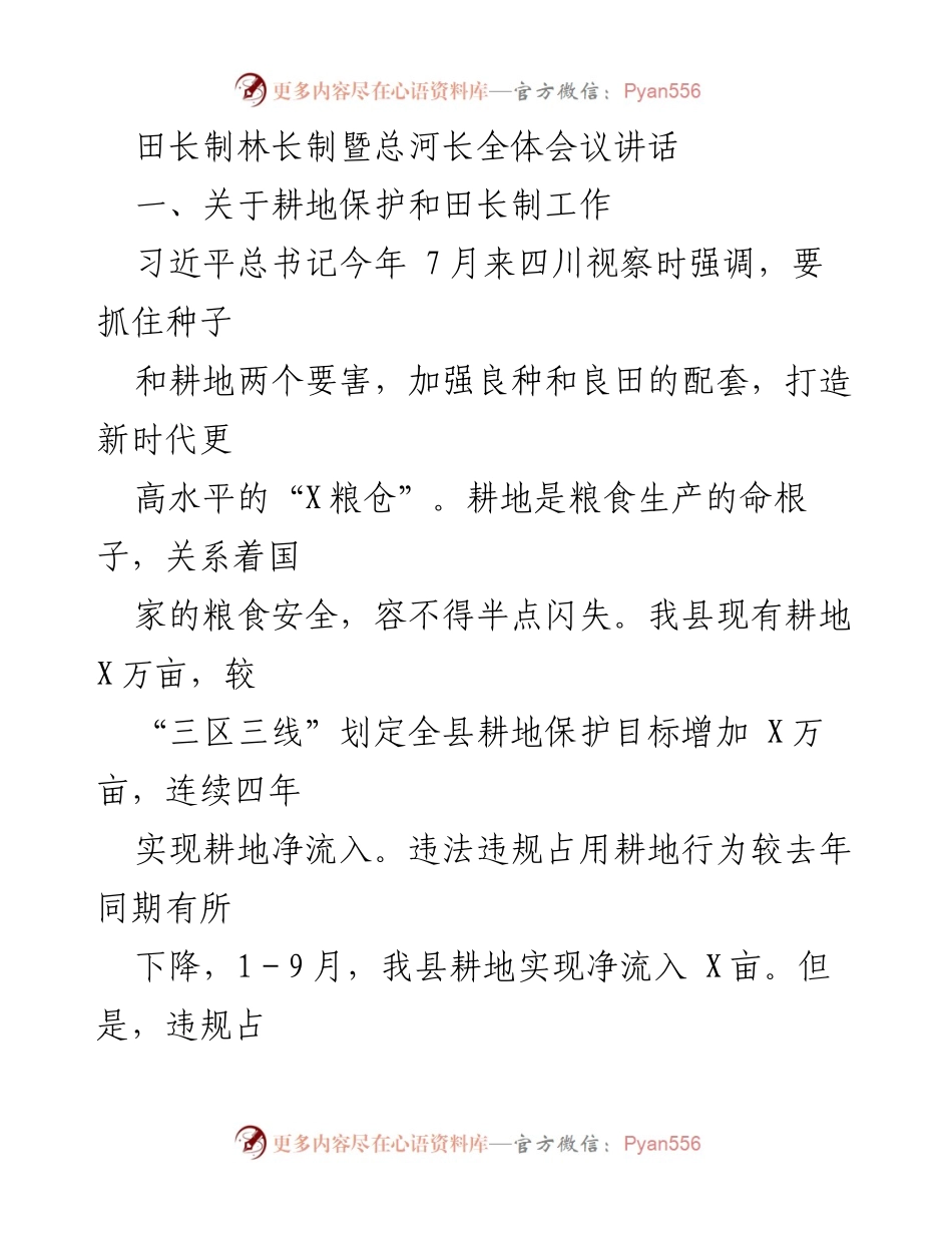 [发言] 会议 - 田长制与耕地保护的重要性及落实措施.docx_第1页