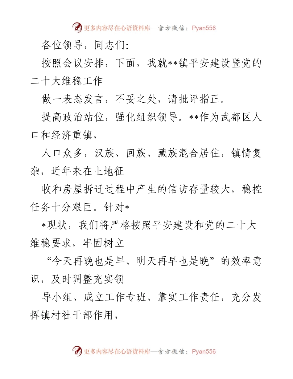 [发言] 会议 - 平安建设与维稳工作表态发言.docx_第1页