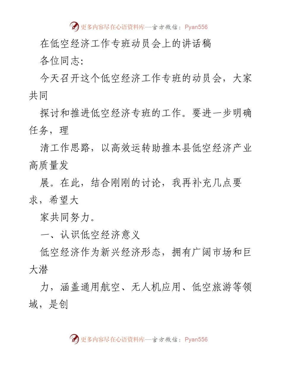[发言] 低空经济工作专班动员会 - 推动低空经济高质量发展的任务与要求.docx_第1页