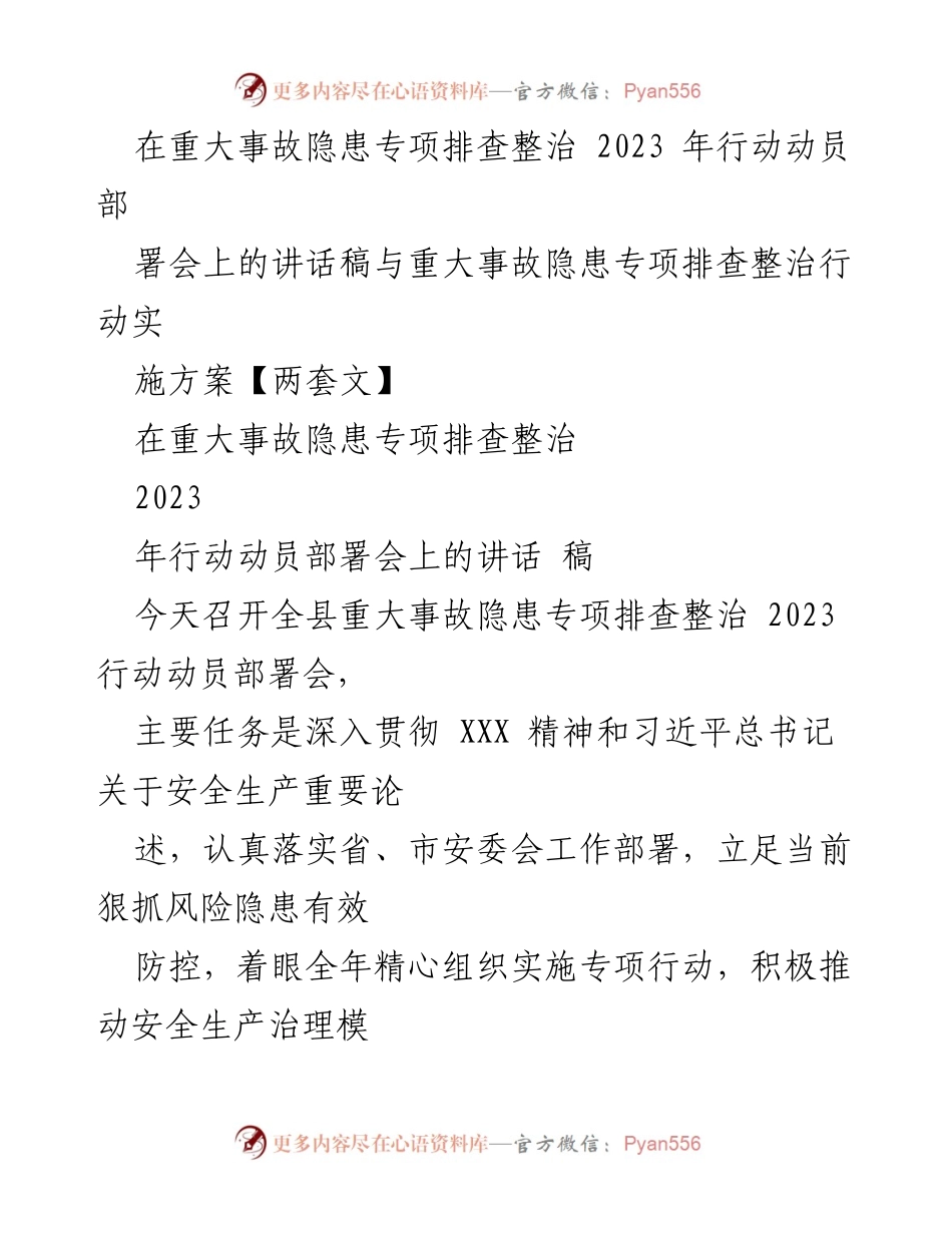 [发言] 会议 - 重大事故隐患专项排查整治2023行动动员部署会讲话稿.docx_第1页