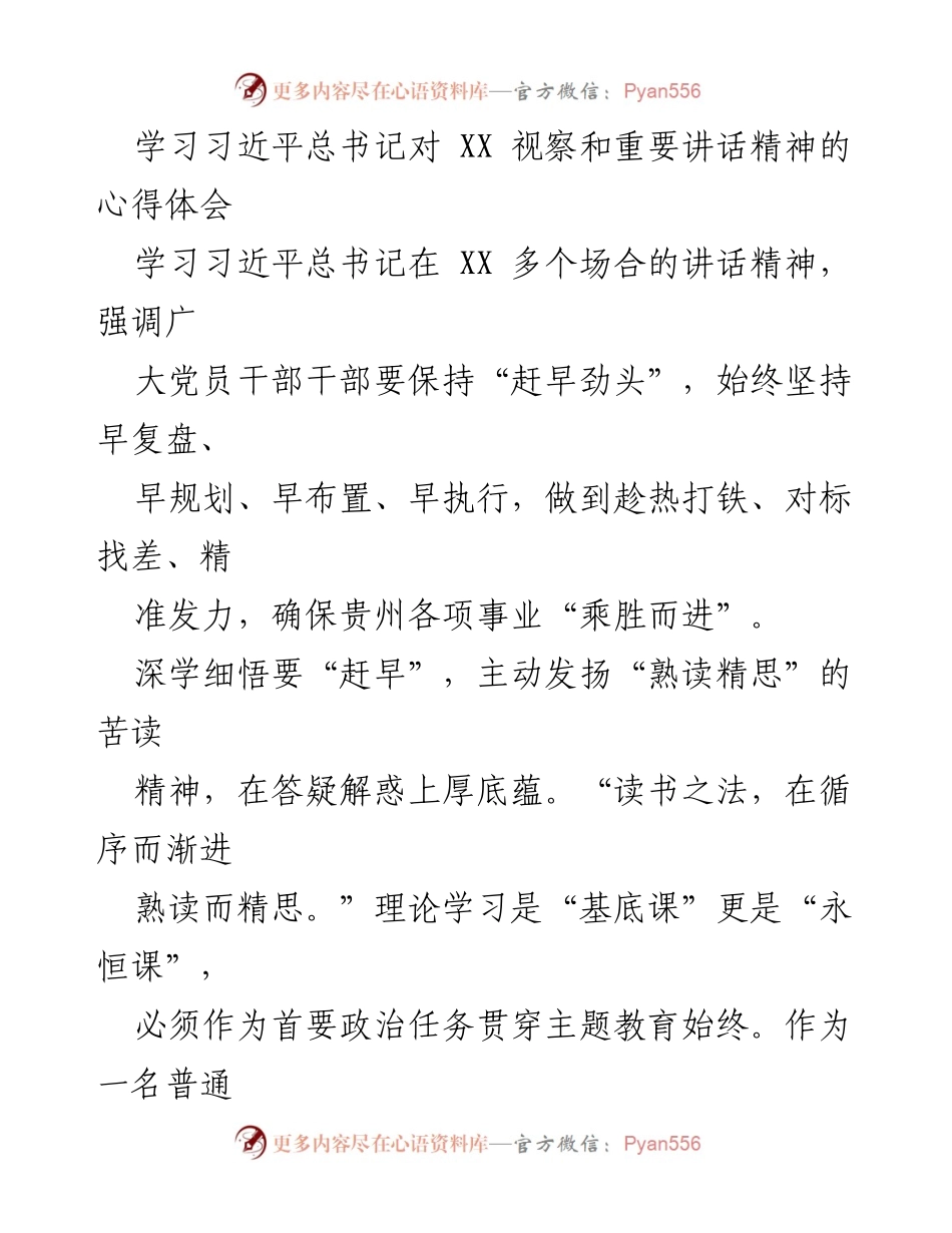 [发言] 党员学习会议 - 深学细悟，调查研究，经验总结：在习近平总书记讲话精神指引下的实践探索.docx_第1页