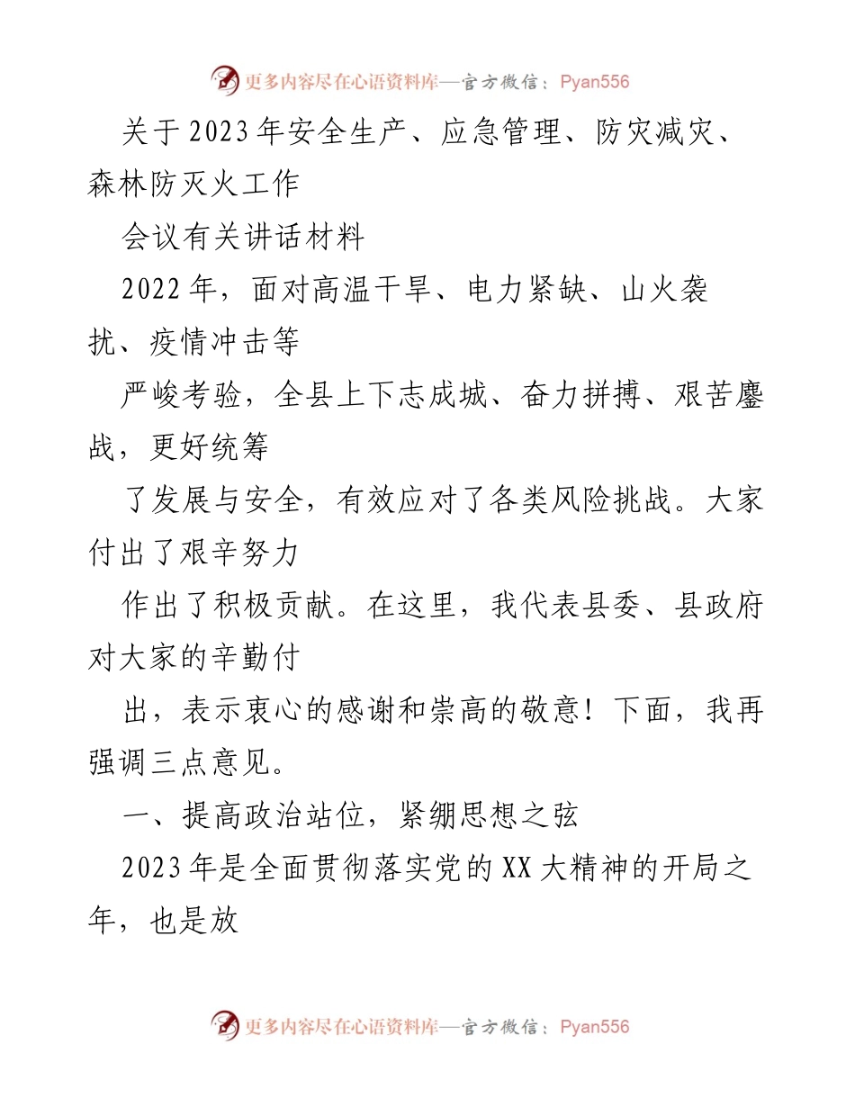 [发言] 会议 - 强调2023年安全生产与应急管理的重要性.docx_第1页