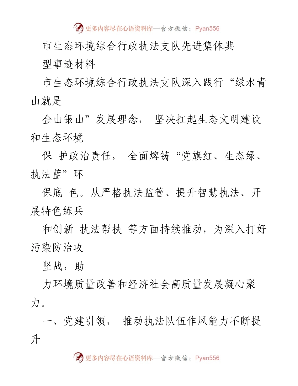 [发言] 先进集体表彰会 - 市生态环境综合行政执法支队先进事迹分享.docx_第1页