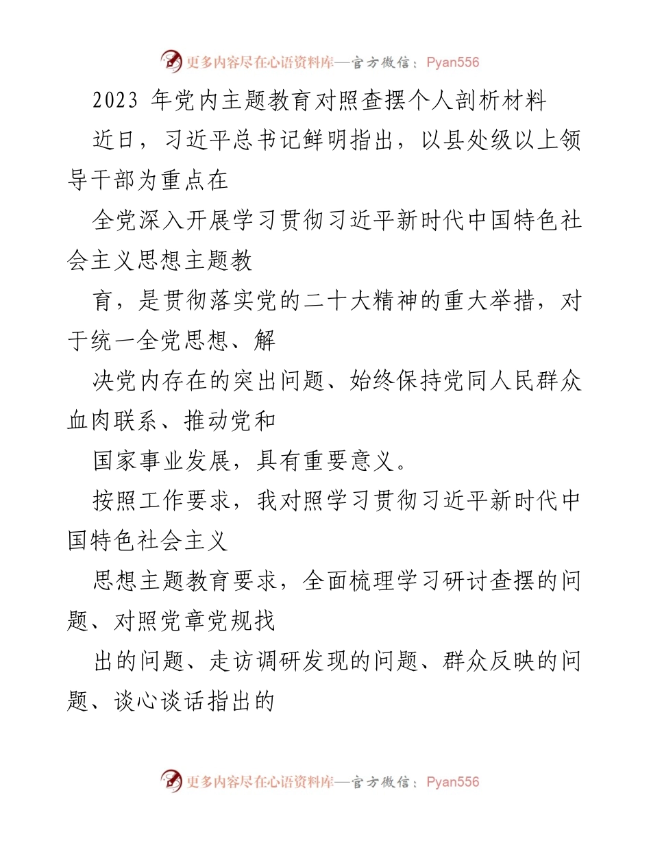 [发言] 党内主题教育 - 个人剖析与问题查摆报告.docx_第1页