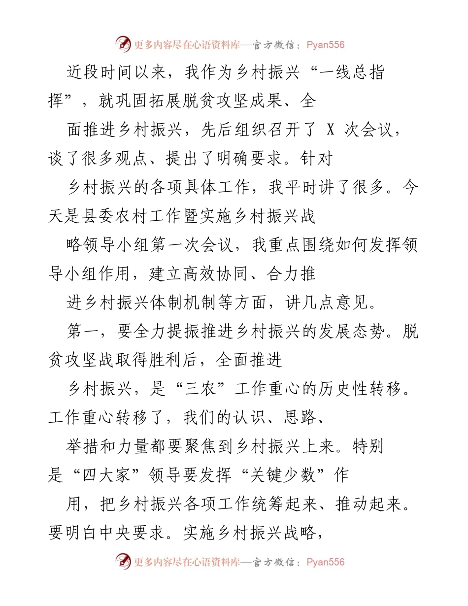 [发言] 会议 - 强化领导小组作用 推动乡村振兴新发展.docx_第1页