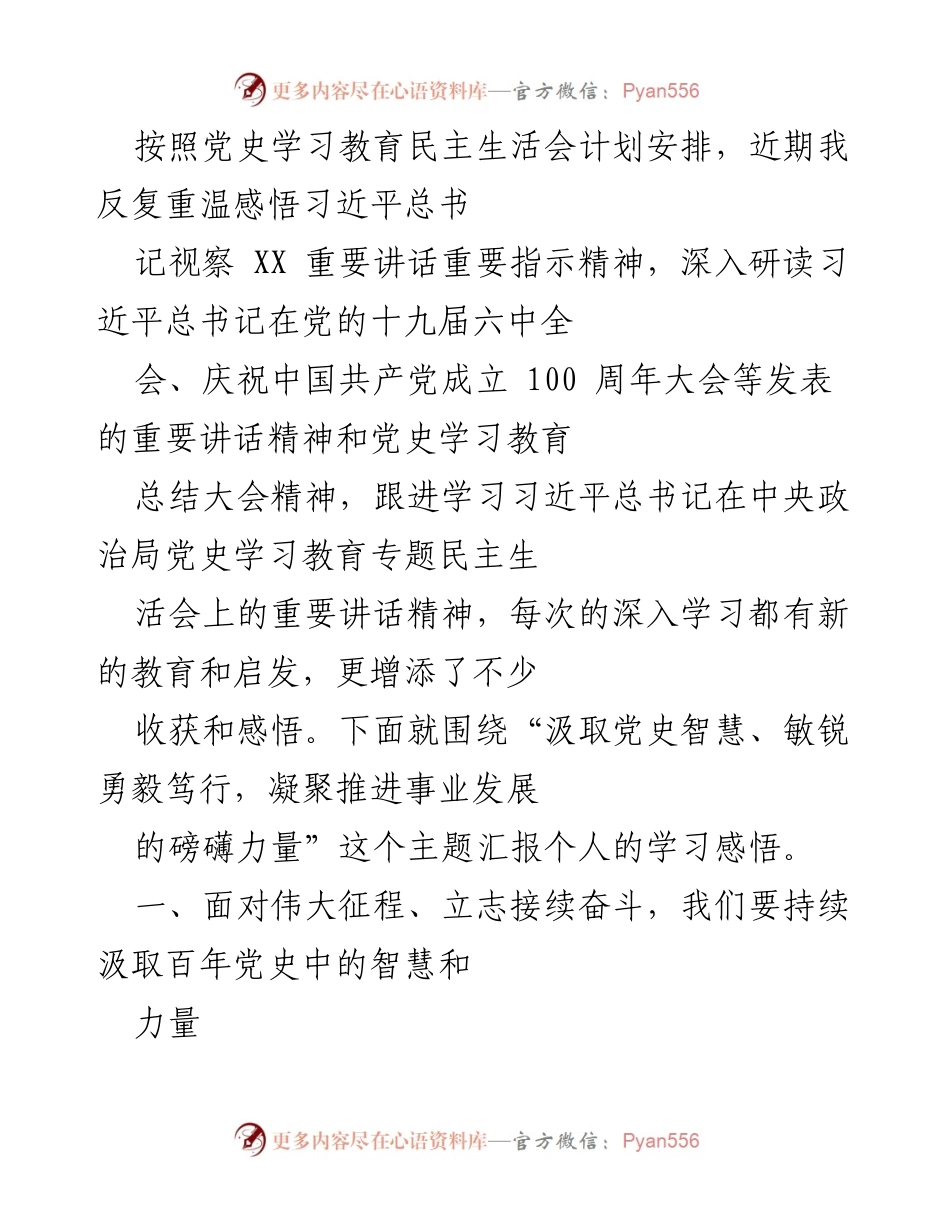 [发言] 党史学习教育民主生活会 - 汲取党史智慧，勇毅笃行推动事业发展.docx_第1页