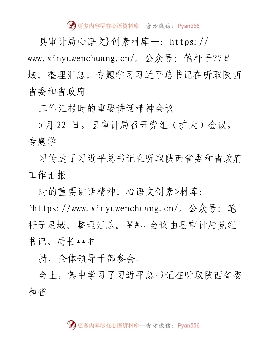 [发言] 会议 - 学习习近平总书记重要讲话精神，推动审计工作高质量发展.docx_第1页