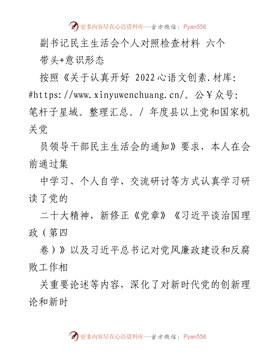 [发言] 党内民主生活会 - 2022年度副书记民主生活会个人对照检查材料.docx_第1页