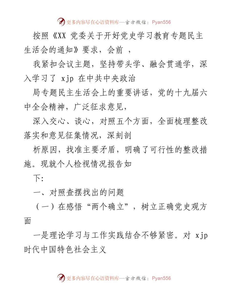 [发言] 党史学习教育专题民主生活会 - 个人检视情况报告.docx_第1页