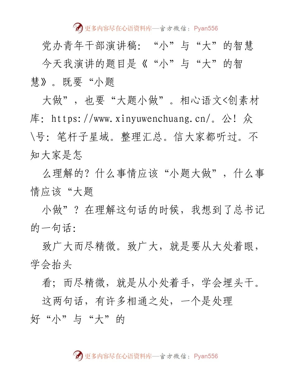 [发言] 党办青年干部演讲 - 小与大的智慧：青年干部的政绩观与担当.docx_第1页
