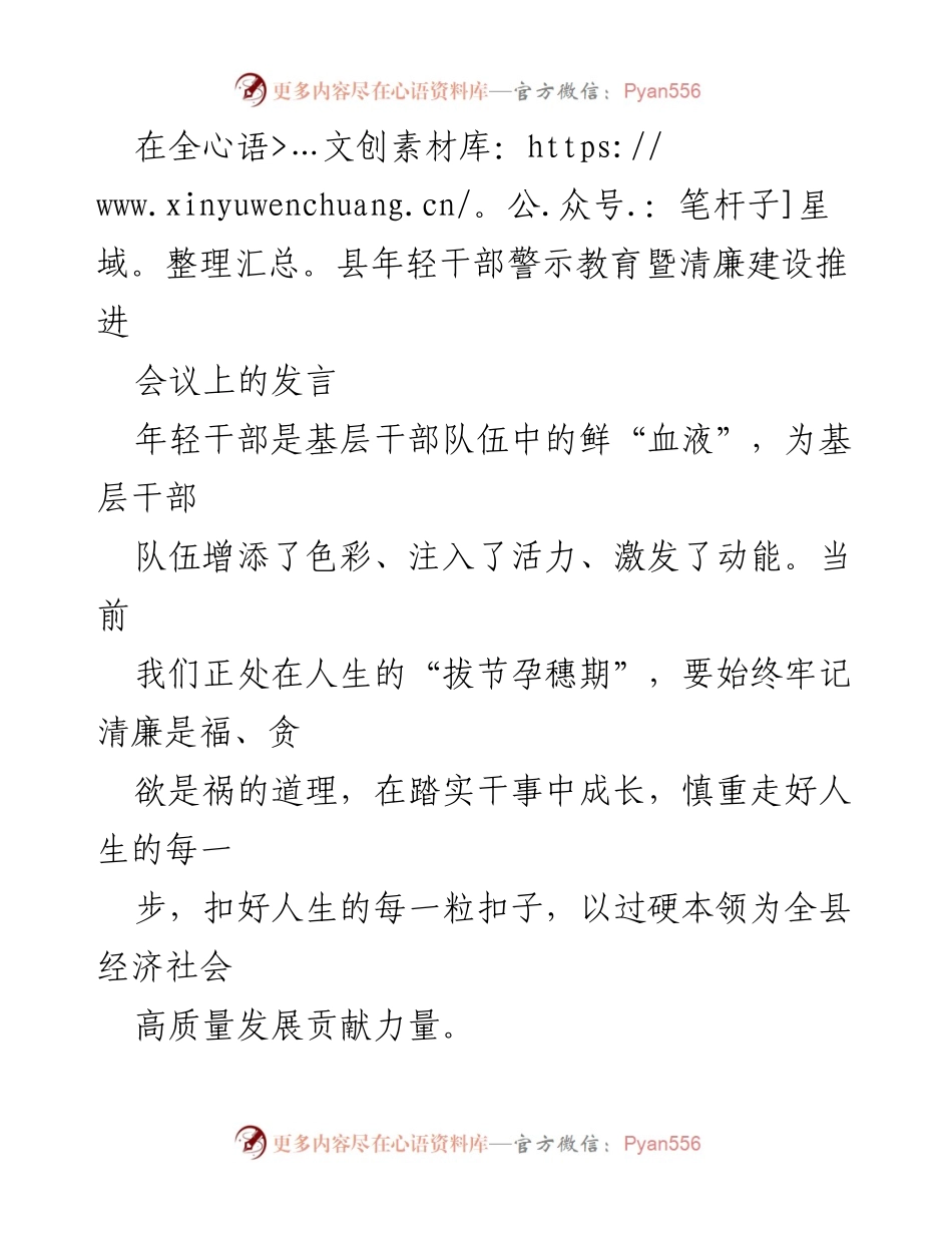 [发言] 会议 - 年轻干部的清廉建设与责任担当.docx_第1页