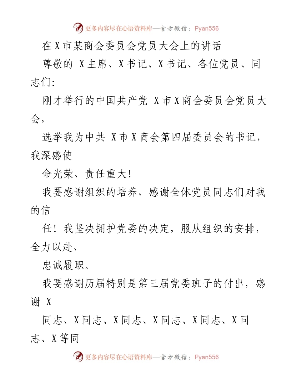 [发言] 党员大会 - 新任书记的责任与使命.docx_第1页