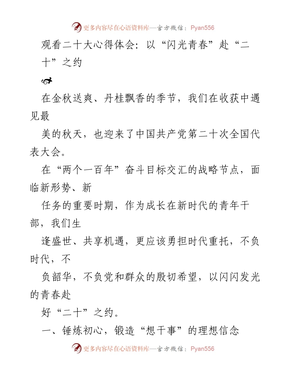 [发言] 会议 - 青年干部在二十大中的使命与担当.docx_第1页