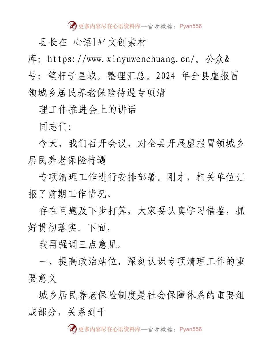 [发言] 会议 - 加强城乡居民养老保险待遇专项清理工作的重要性.docx_第1页