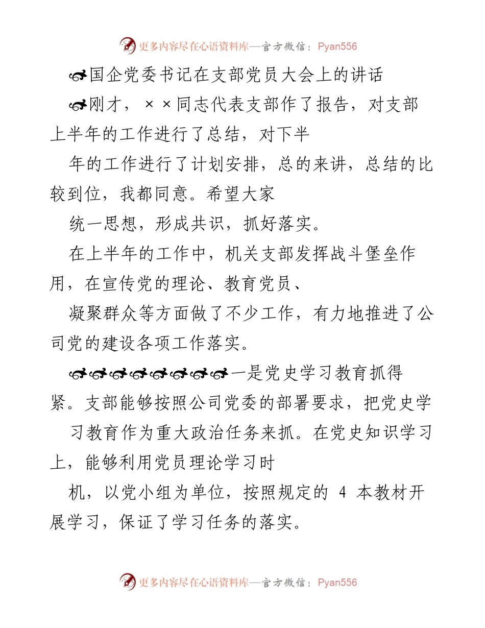 [发言] 党员大会 - 国企党委书记在支部党员大会上的讲话总结与展望.docx_第1页