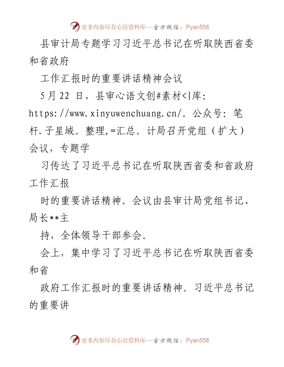 [发言] 会议 - 深入学习习近平总书记重要讲话精神，推动审计工作高质量发展.docx_第1页