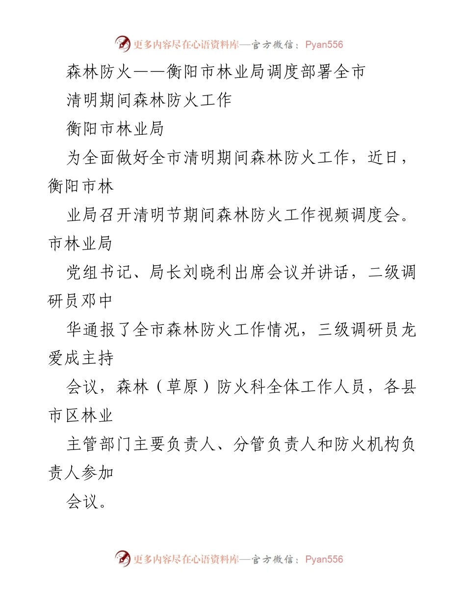 [发言] 会议 - 衡阳市林业局清明期间森林防火工作部署会议总结.docx_第1页