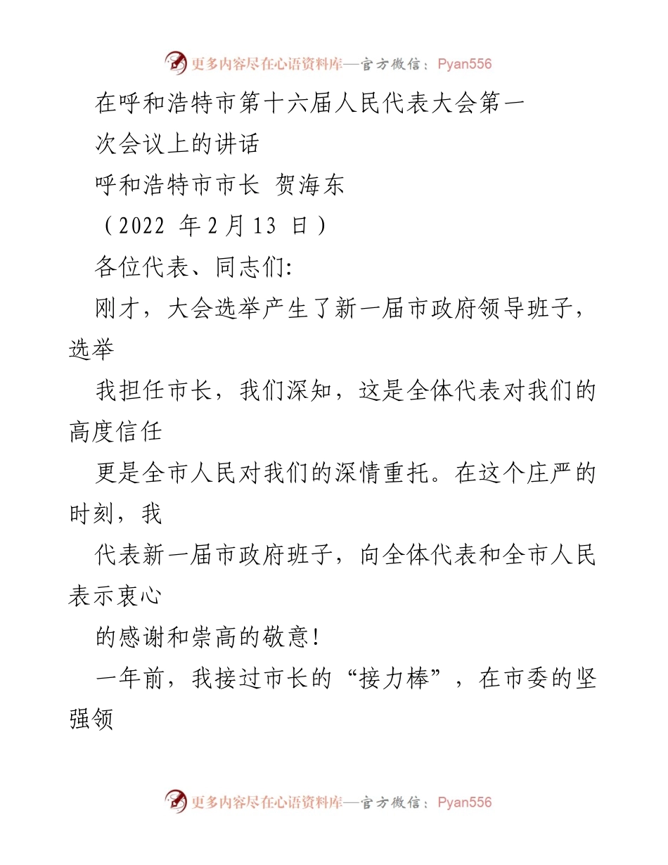 [发言] 会议 - 新一届市政府的奋斗宣言与政治承诺.docx_第1页