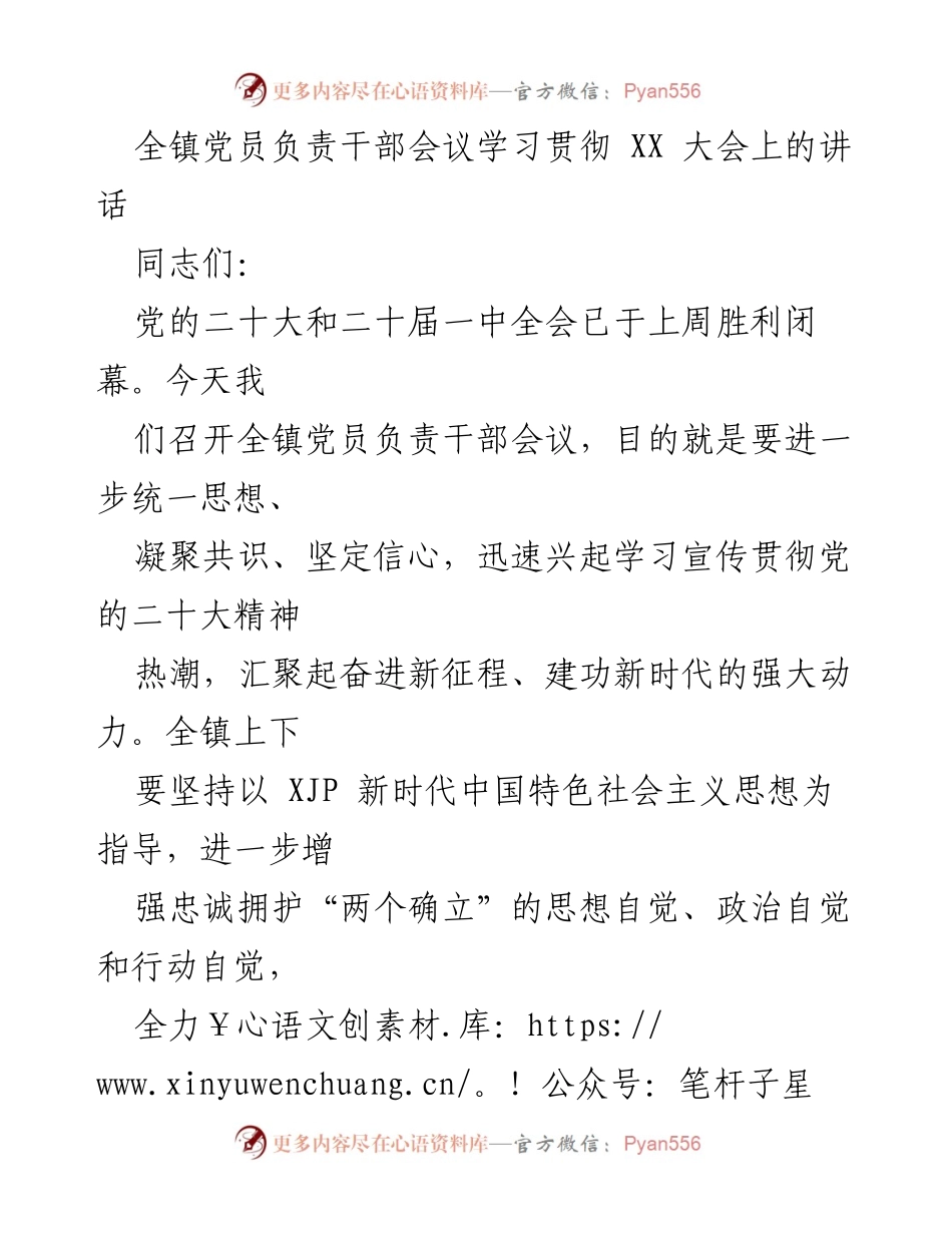[发言] 党员负责干部会议 - 学习贯彻党的二十大精神的重要性与实施路径.docx_第1页