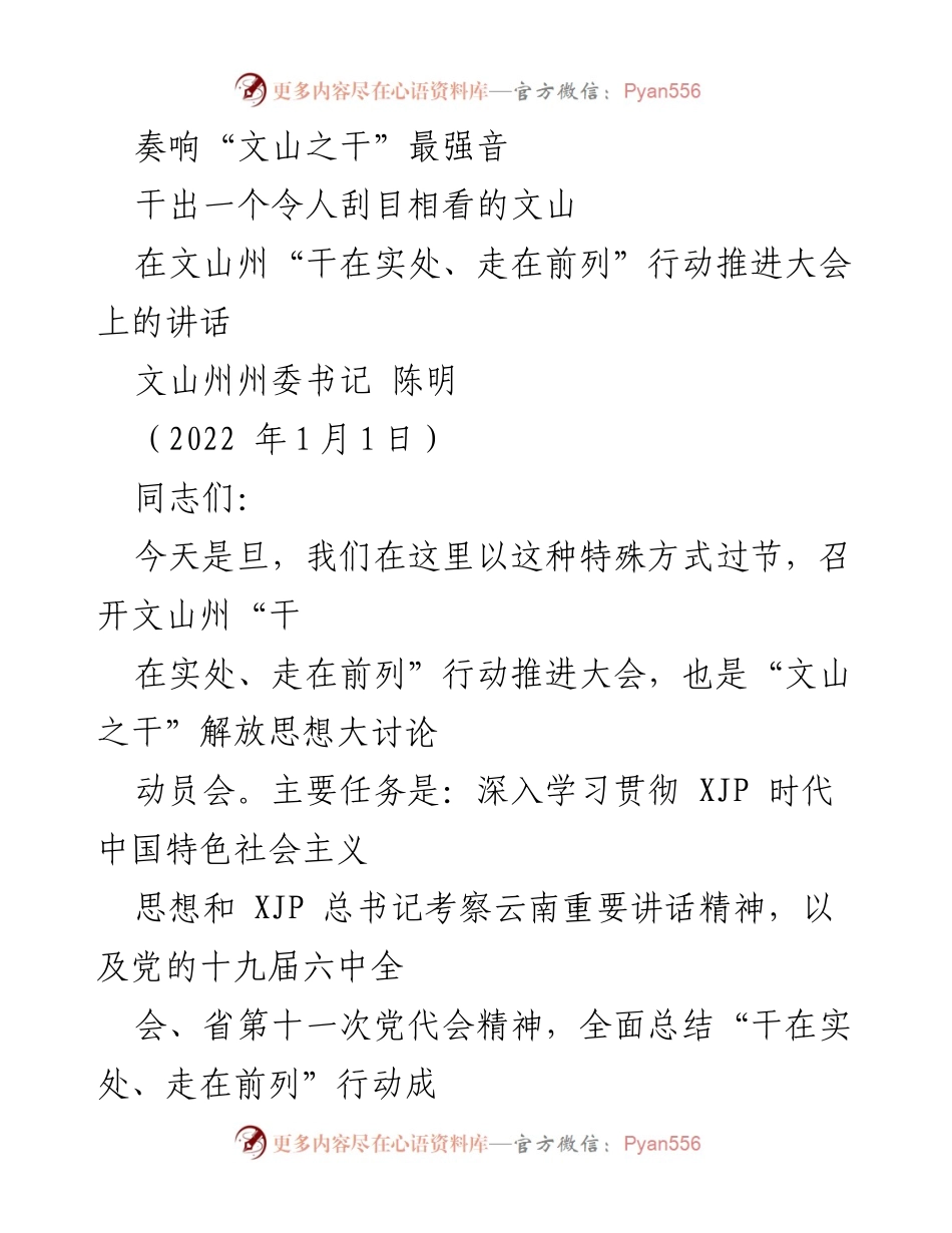 [发言] 会议 - 文山州“干在实处、走在前列”行动推进大会讲话.docx_第1页