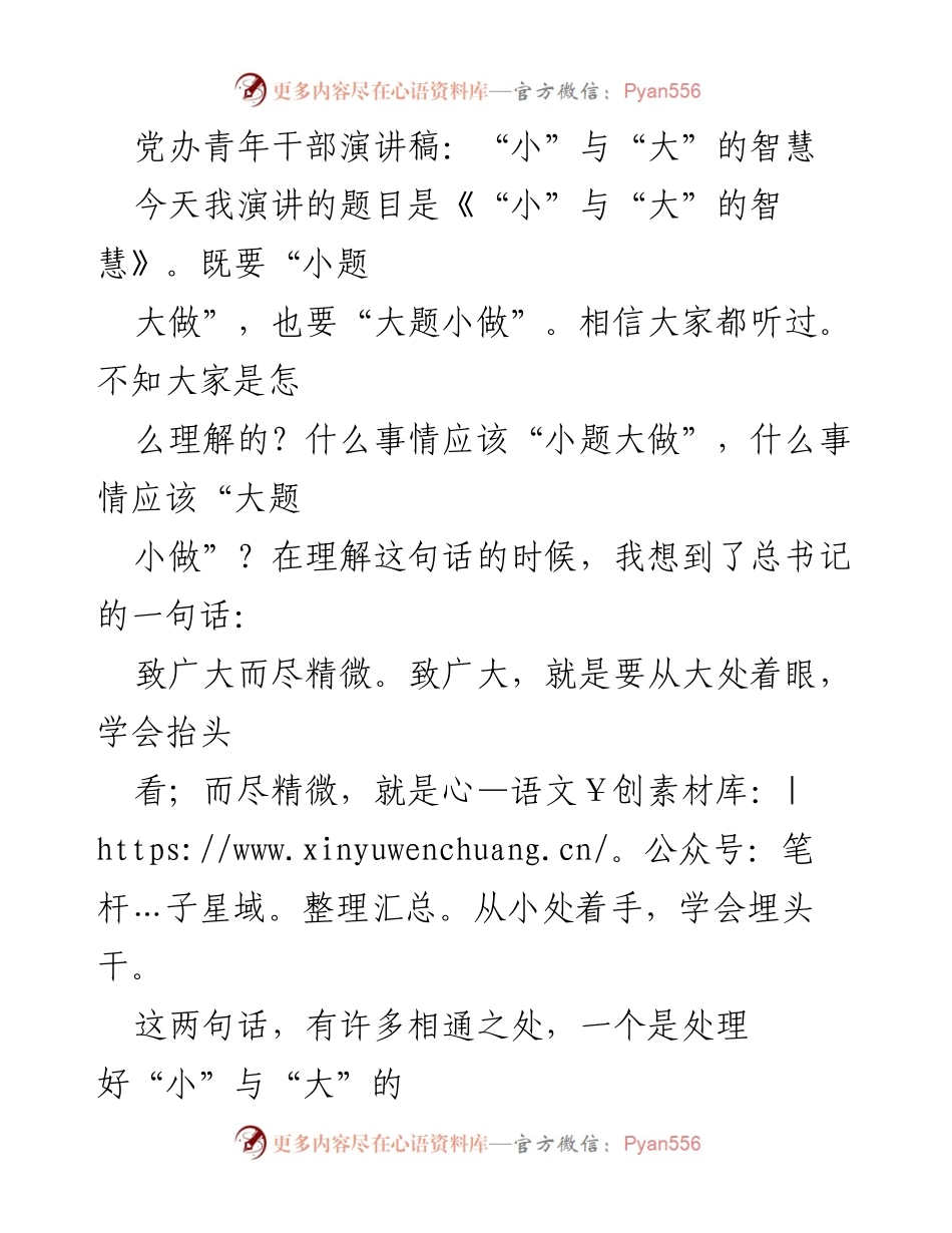 [发言] 党办青年干部会议 - 小与大：青年干部的智慧与责任.docx_第1页