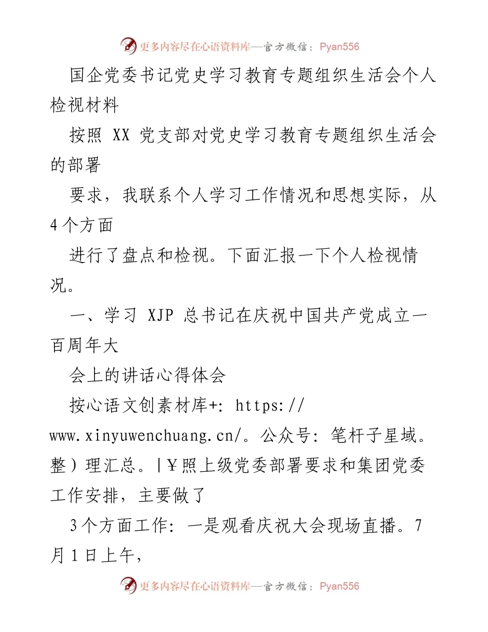 [发言] 党史学习教育专题组织生活会 - 国企党委书记个人检视材料总结.docx_第1页
