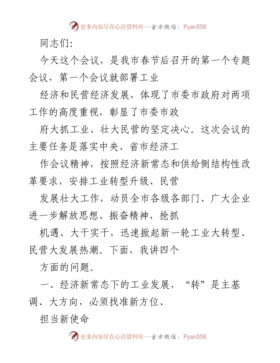 [发言] 会议 - 加快工业转型与民营经济发展的战略部署.docx_第1页
