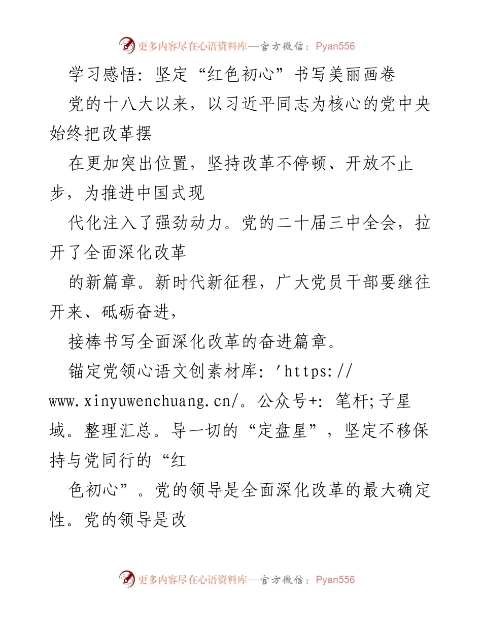 [发言] 党员干部学习交流会 - 坚定红色初心，书写新时代改革篇章.docx_第1页