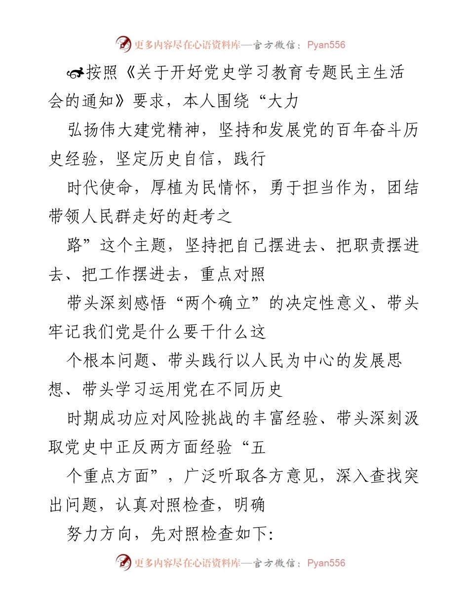 [发言] 党史学习教育专题民主生活会 - 深入检视与自我反思：践行党的历史使命与担当.docx_第1页