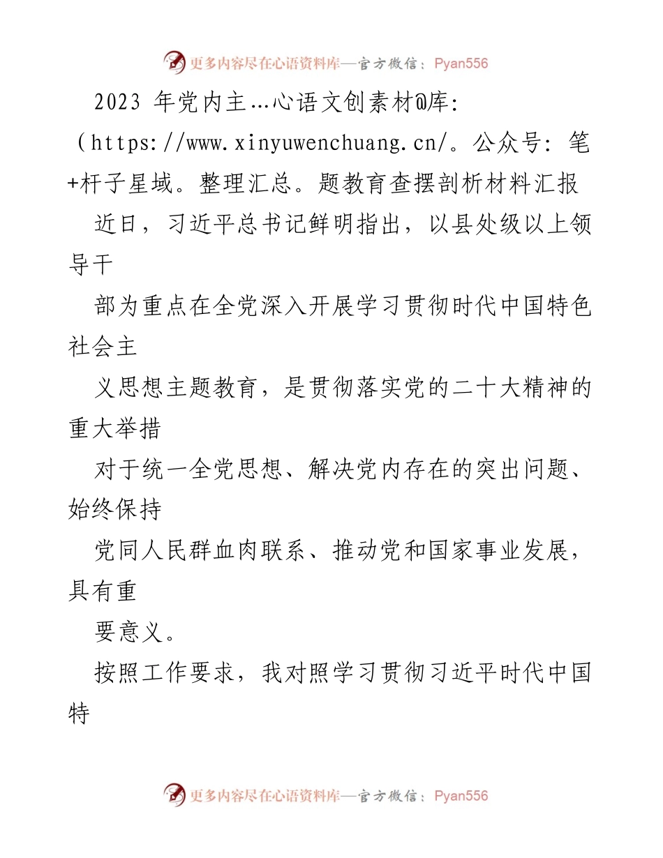 [发言] 党内主题教育会议 - 2023年党内主题教育查摆剖析材料汇报.docx_第1页