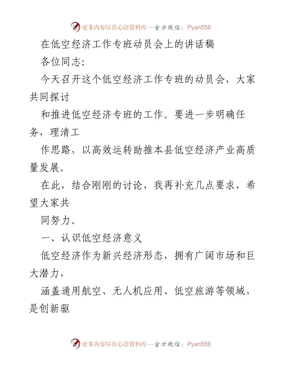 [发言] 低空经济工作专班动员会 - 推动低空经济高质量发展的重要讲话.docx_第1页