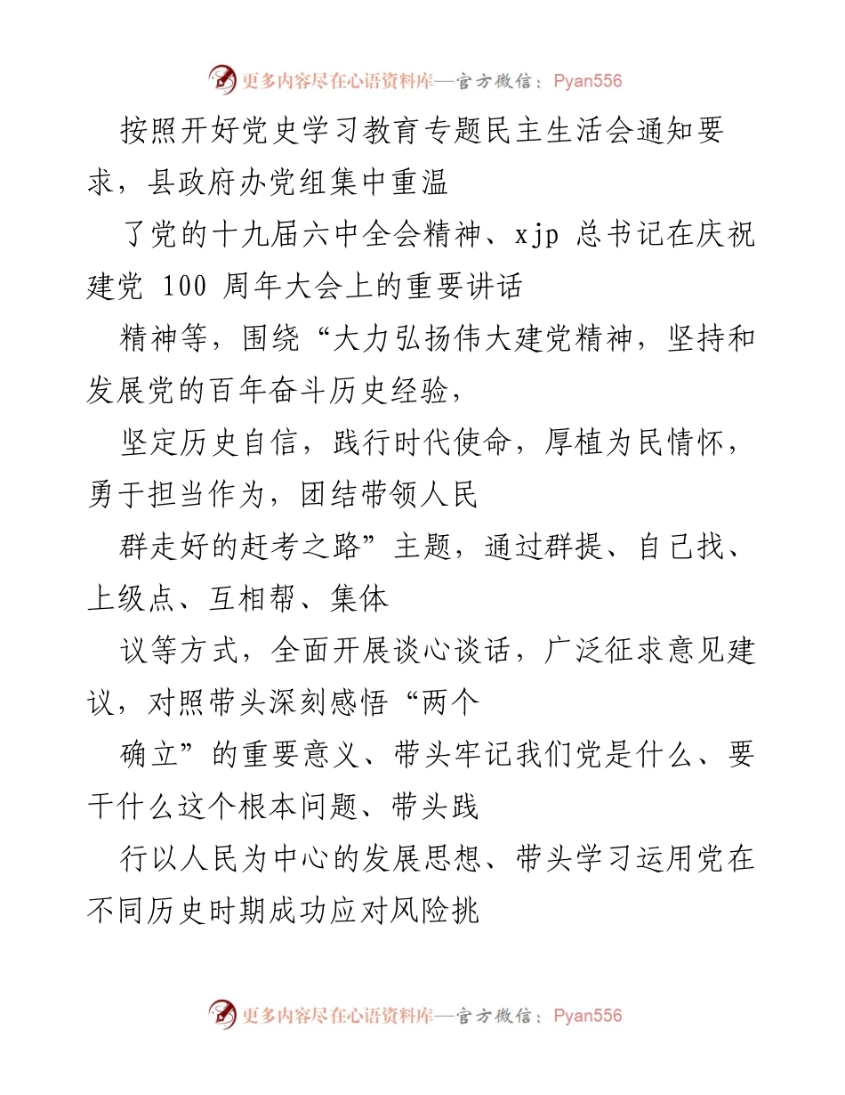 [发言] 党史学习教育专题民主生活会 - 深刻领悟党的历史经验，坚定理想信念，推动整改落实.docx_第1页