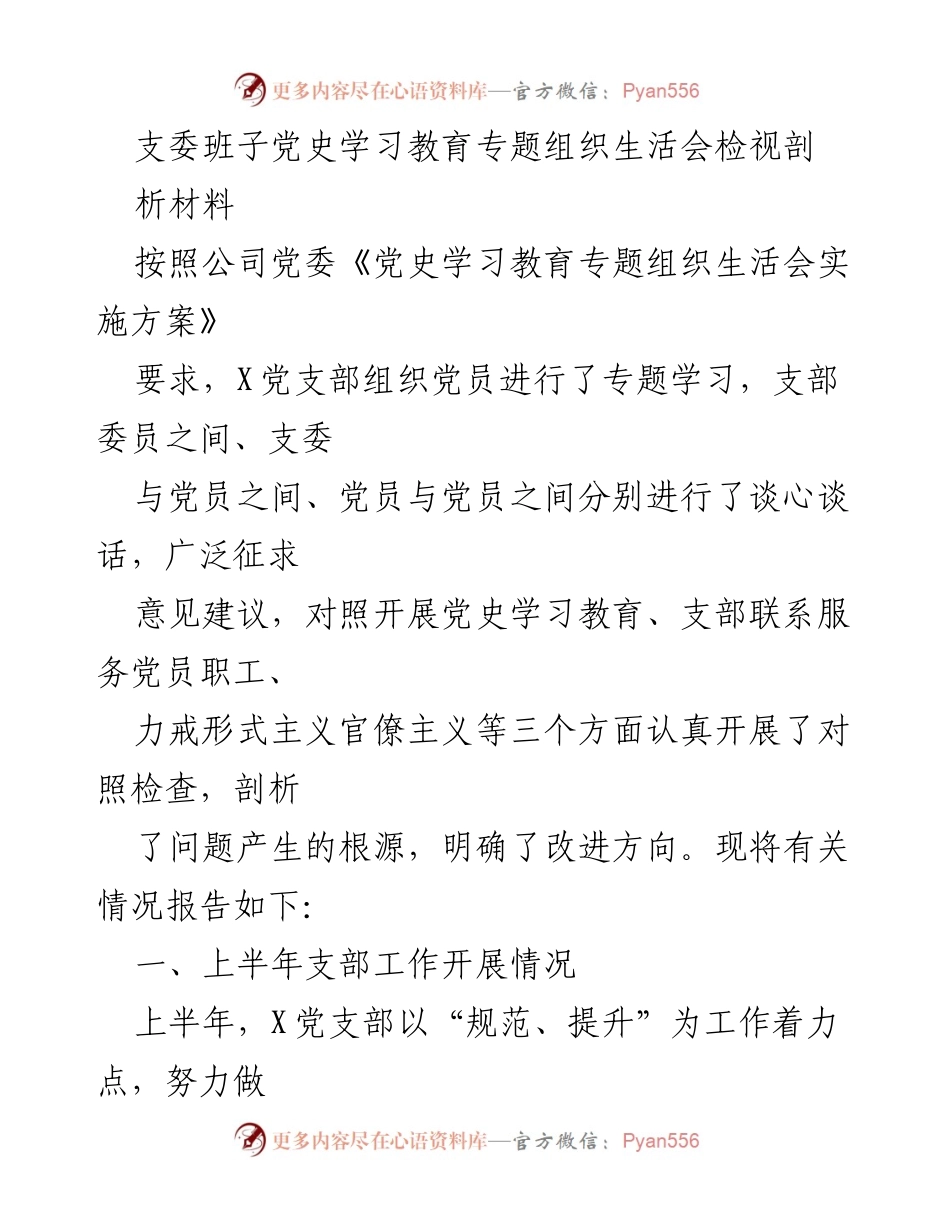 [发言] 党史学习教育专题组织生活会 - 支部班子党史学习教育检视剖析报告.docx_第1页