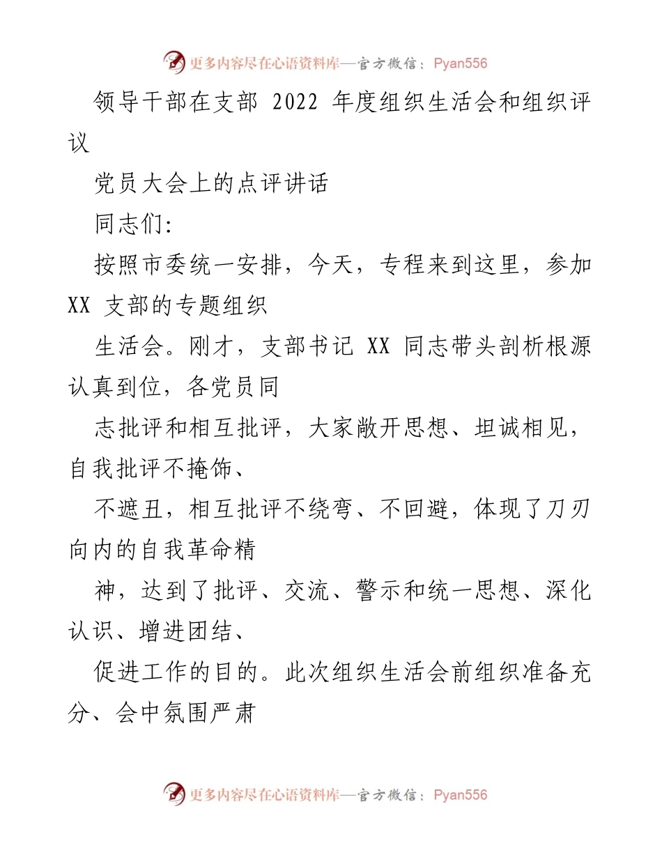 [发言] 党员大会 - 领导干部在组织生活会上的点评与整改建议.docx_第1页