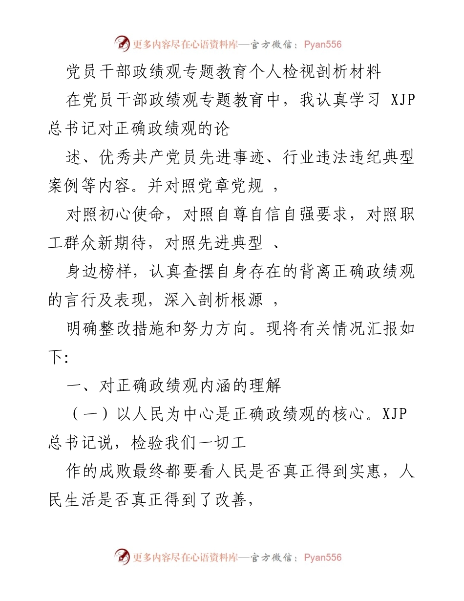 [发言] 党员干部政绩观专题教育 - 个人检视与整改措施汇报.docx_第1页