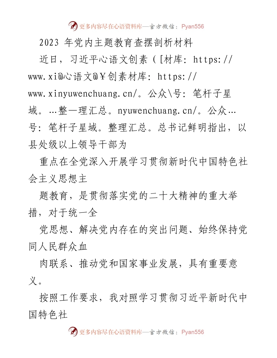 [发言] 党内主题教育会议 - 2023年党内主题教育查摆剖析材料总结.docx_第1页