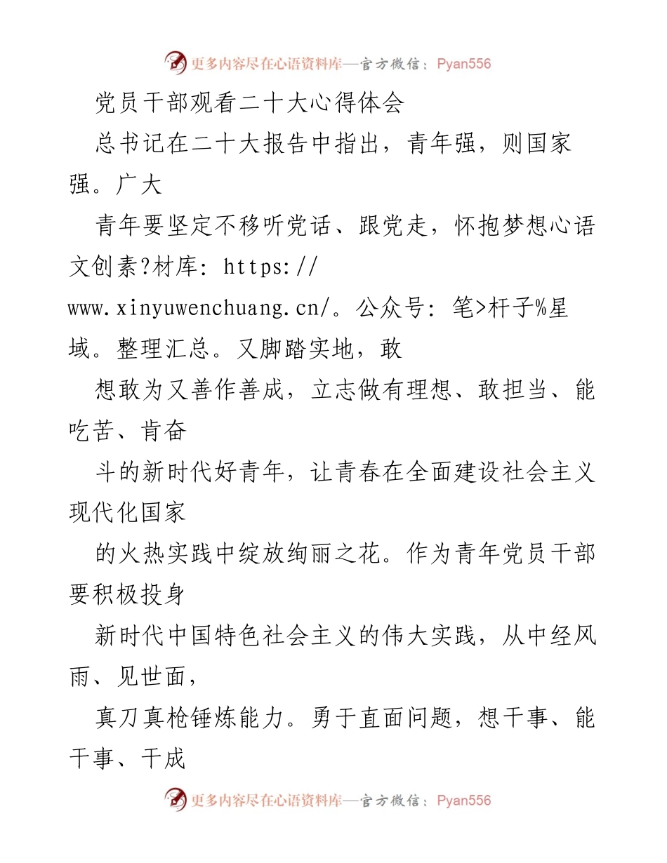 [发言] 党员干部学习活动 - 青年党员干部在二十大精神指引下的奋斗与担当.docx_第1页