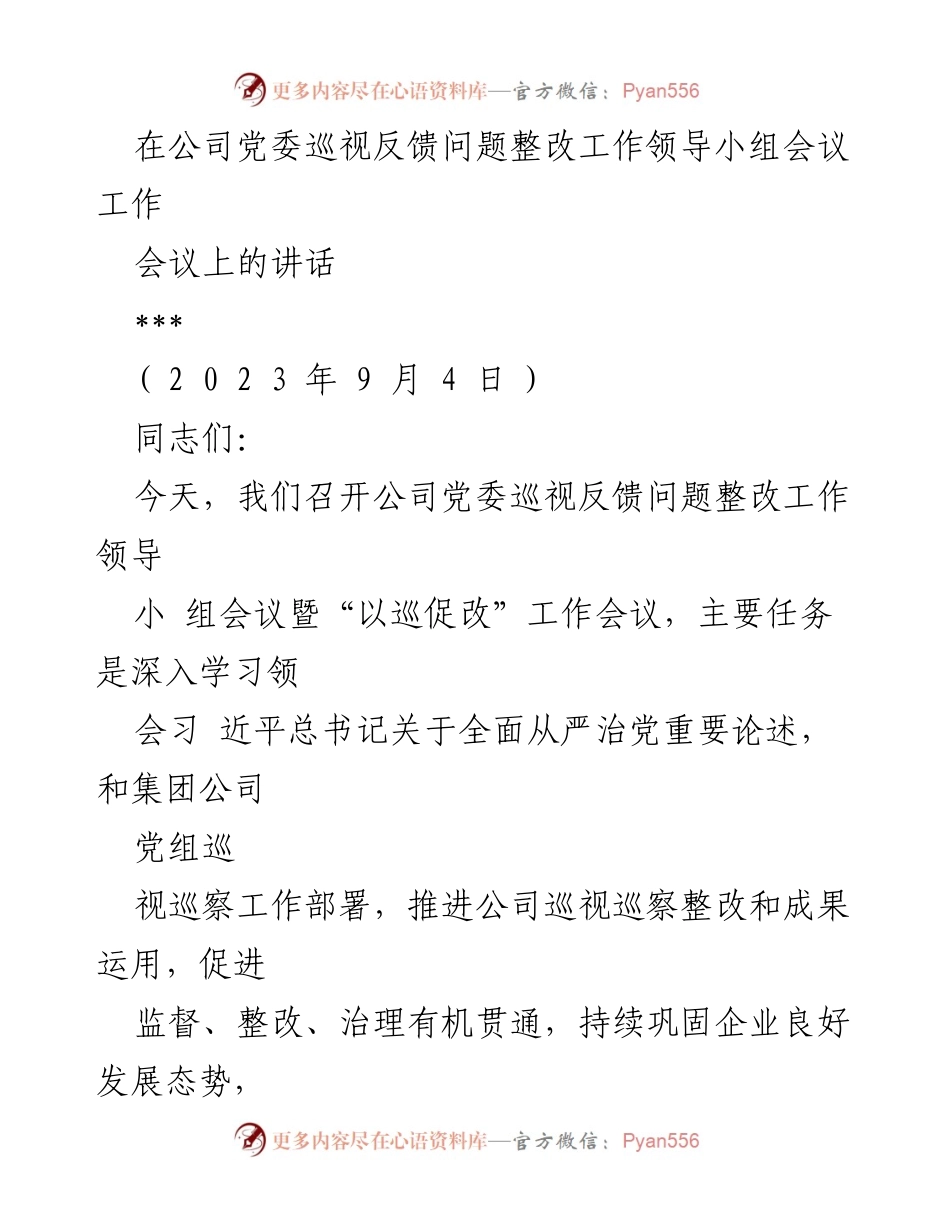 [发言] 会议 - 推进巡视反馈问题整改工作的重要讲话.docx_第1页
